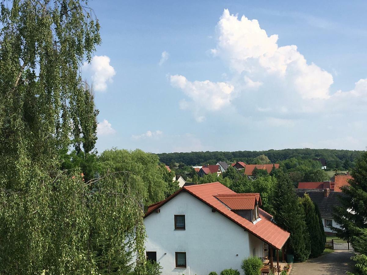 Ferienwohnung Zur Himmelsscheibe Ziegelroda Екстериор снимка